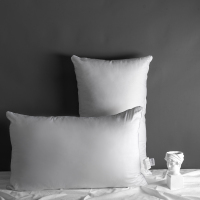 采馨 全棉枕芯 羽丝绒枕纤维枕B系列 48cm*74cm 只