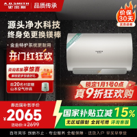 AO史密斯佳尼特60升电热水器 金圭内胆 双棒分离速热 免换镁棒 免清洗 CTE-60JC3-B