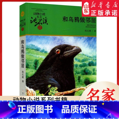 和乌鸦做邻居 [正版]书店 和乌鸦做邻居 升级版动物小说大王沈石溪·品藏书系 中/小学生阅读少儿读物 儿童文学