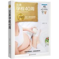 完美孕程40周