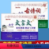 小升初必考]文言文+古诗词 小学通用 [正版]小升初文言文古诗文专项训练测试卷真题名校分班卷共2本 语文阅读理解试卷人教