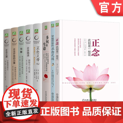 套装 卡巴金作品集 全8册 机械工业出版社