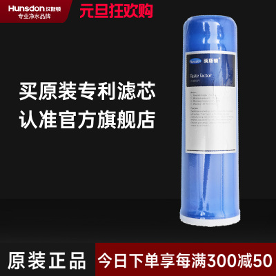汉斯顿/Hunson 净水器净水伴侣后置 口感因子滤芯
