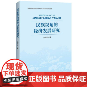 民族视角的经济发展研究
