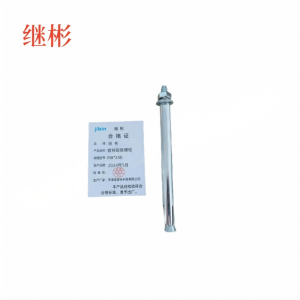 JIBIN/继彬 GB22795-表5 膨胀螺栓 碳钢 镀白锌 M8×250 1个