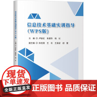 信息技术基础实训指导(WPS版) 卢彩虹,朱丽华,杨红 编 大学教材大中专 正版图书籍 清华大学出版社