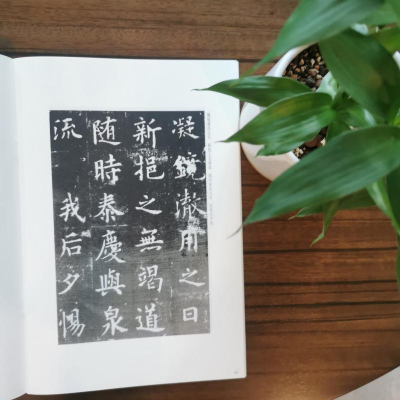 [M]欧阳询九成宫碑 上海书画出版社 编 -9787807259749