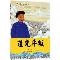 正版新书]道光平叛文元9787520502016