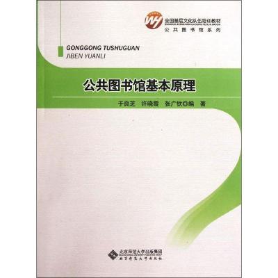 正版新书]公共图书馆基本原理于良芝9787303142255