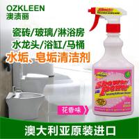 进口瓷砖清洁剂强力去污剂浴室浴缸地板砖清洗剂陶瓷洁瓷剂