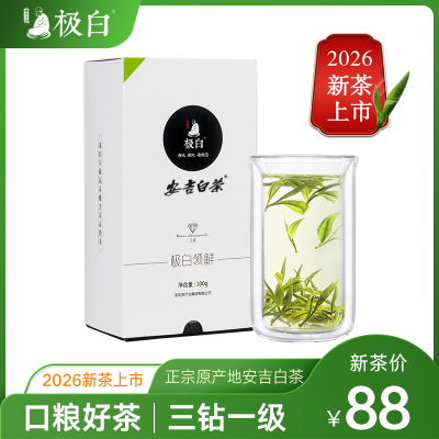 2026绿茶上市 极白安吉白茶礼盒装正宗一级100g 珍稀春茶茶叶