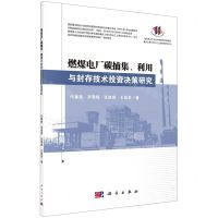 [N]燃煤电厂碳捕集利用与封存技术投资决策研究-9787030670069
