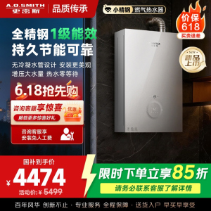 AO史密斯佳尼特JSLQ28-TJE5一级能效防冻燃气热水器智能增压零冷水无冷凝水管大水量新品