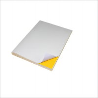 彩标 BGJ-200 300mm*200mm 50张/盒 标签胶贴 (计价单位:盒) 白色