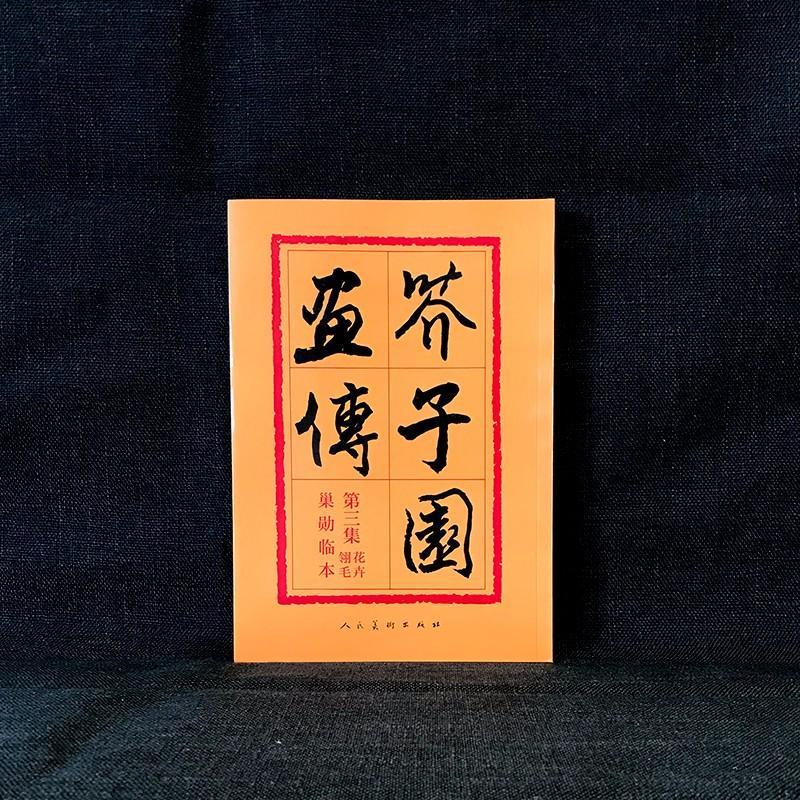 正版新书]芥子园画传(3)花卉翎羽沈心友 著9787102012551