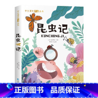 [彩色图案注音版]昆虫记 [正版]苦儿流浪记 彩绘注音版世界名着一年级阅读小学生课外书籍6-7-8-9-10岁儿童读物二