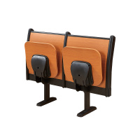 臻远ZY-LTY-92 阶梯教室排椅礼堂椅会议室报告厅联排椅 后排双人位