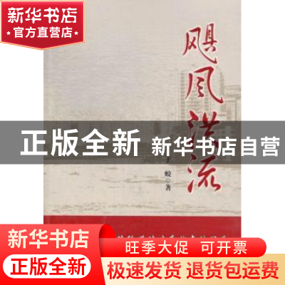 正版 飓风洪流 于蛟著 宁夏人民出版社 9787227054092 书籍