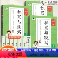 积累与默写 语文 一年级下 [正版]2024版53基础练积累与默写一二年级三四年级五六年级上册语文人教通用版5.3小学天