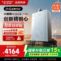 史密斯佳尼特[小精钢TJS5]16升增压零冷水燃气热水器 国家补贴 JSQ31-TJS5 安全守护 持久恒温 新品