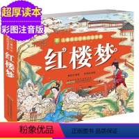 [正版]小树苗儿童成长经典阅读宝库 红楼梦304页 四大名著6-9-12岁彩图注音版少儿课外阅读书籍 睡前故事亲子读物