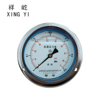 祥屹 耐震压力表轴向带边 YTN100ZT 0-0.6Mpa 块