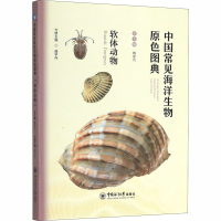 音像中国常见海洋生物原色图典 软体动物魏建功,曲学存 编