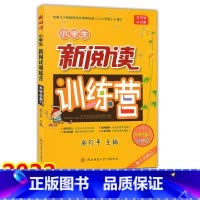 语文 小学升初中 [正版]2022新版 小学生新阅读训练营 升学总复习 全彩版 第十次修订 小学生语文同步阅读指导练习册