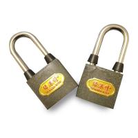 绿港情 挂锁 60 把