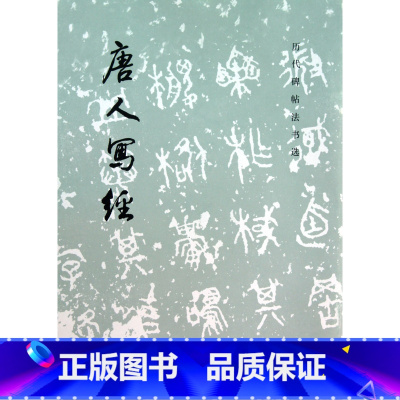 [正版]书店唐人写经/历代碑帖法书选