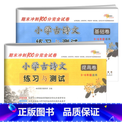 基础+提高篇 小学通用 [正版]名校小学古诗文练习与测试基础卷+提高卷三四五六年级 必小古文背古诗词文言文阅读训练模拟测