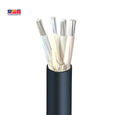 常顺鑫 低压铝芯电缆ZC-YJLV 4×50 米
