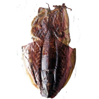 新晒墨鱼干干货海鲜干货墨鱼目鱼干乌贼干墨鱼礼品750-800g(一个)