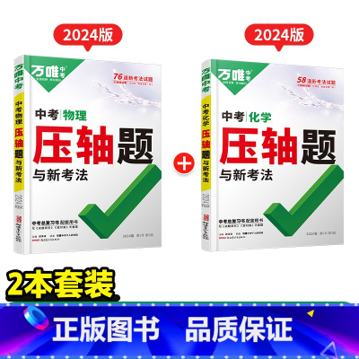 压轴题[物理+化学]2本 初中通用 [正版]数学压轴题2024初中七年级动点专项训练几何函数精讲精练八年级物理九年级化学