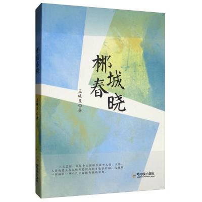 正版新书]郴城春晓王曦晨9787548435877