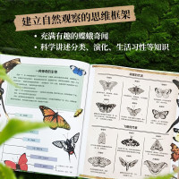 蝴蝶的秘密生活