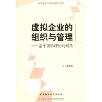 正版新书]虚拟企业的组织与管理:基于团队理论的视角王能著9787