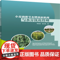 正版 小麦滴灌节水增效新机理与水分优化管理 李思恩 杨丹妮主编 中国农业大学出版社店9787565531989