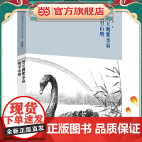 沈石溪臻奇动物小说文集生存卷 黑天鹅紫水晶 梅里山鹰