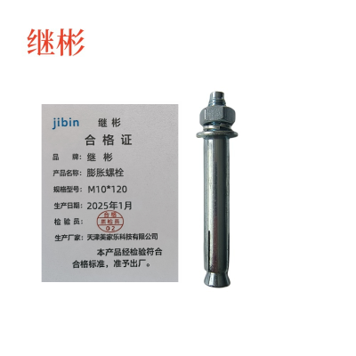 继彬膨胀螺栓 M10*120 个