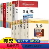 [7-9年级]全12册 [正版]九年级下册课外阅读名著 儒林外史 简爱初中生语文中外名著完整无删减 骆驼祥子 海底两万里