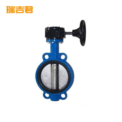 瑞吉君 涡轮对夹蝶阀 DN65 个