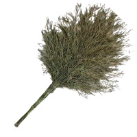 永满铁运 大扫帚 3斤 把