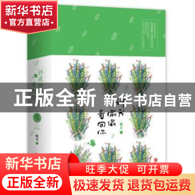 正版 许我偷偷看向你 歌月 青岛出版社 9787555248118 书籍