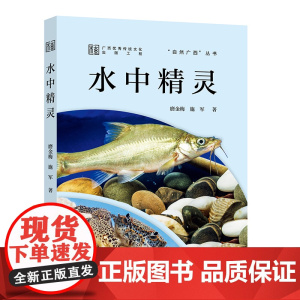 水中精灵