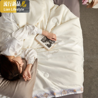 可水洗夏季空调被夏凉被冰丝夏被单人双人夏天薄款被子被芯春秋被 三维工匠