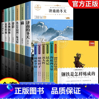 [全13册]六年级课外书+世界经典名著 [正版]国一必读的课外书 小升初课外书必读书籍下册 适合小学六升国一初一看的课外