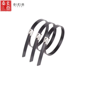 泰炙鼎 包塑不锈钢扎带 4.8*700mm 100根 包