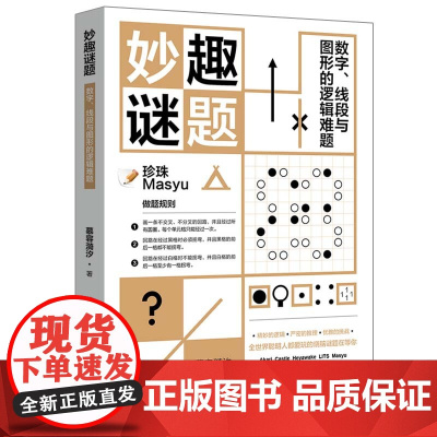 妙趣谜题 数字、线段与图形的逻辑难题 正版书籍