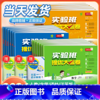 2本:[老师推荐]语文+数学 人教版 二年级下 [正版]2024版实验班提优大考卷一二三四五六年级上册下册语文数学英语培